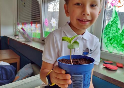 La Importancia de la Educación Ambiental / Die Bedeutung der Umwelterziehung