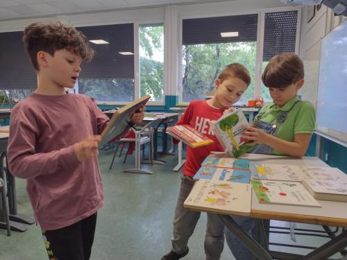 La Importancia de la Educación Ambiental / Die Bedeutung der Umwelterziehung