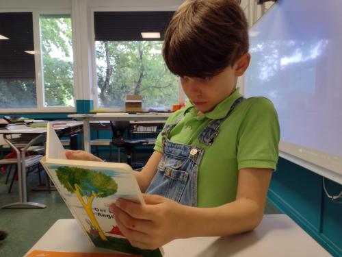 La Importancia de la Educación Ambiental / Die Bedeutung der Umwelterziehung