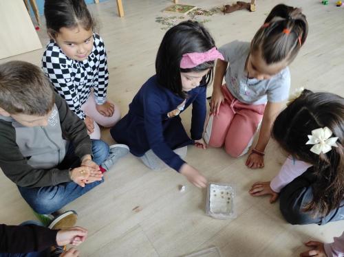 La Importancia de la Educación Ambiental / Die Bedeutung der Umwelterziehung