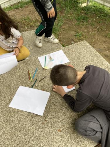 La Importancia de la Educación Ambiental / Die Bedeutung der Umwelterziehung