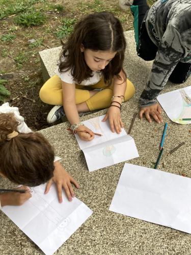 La Importancia de la Educación Ambiental / Die Bedeutung der Umwelterziehung
