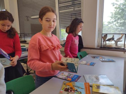 La Importancia de la Educación Ambiental / Die Bedeutung der Umwelterziehung