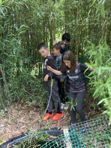 La Importancia de la Educación Ambiental / Die Bedeutung der Umwelterziehung