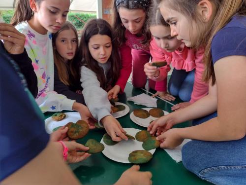 La Importancia de la Educación Ambiental / Die Bedeutung der Umwelterziehung