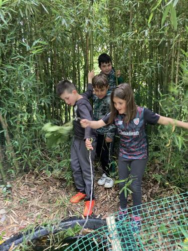 La Importancia de la Educación Ambiental / Die Bedeutung der Umwelterziehung