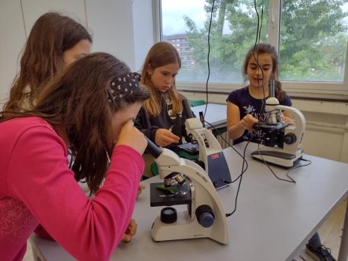La Importancia de la Educación Ambiental / Die Bedeutung der Umwelterziehung