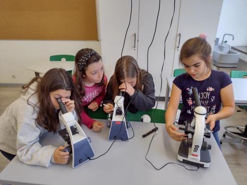 La Importancia de la Educación Ambiental / Die Bedeutung der Umwelterziehung