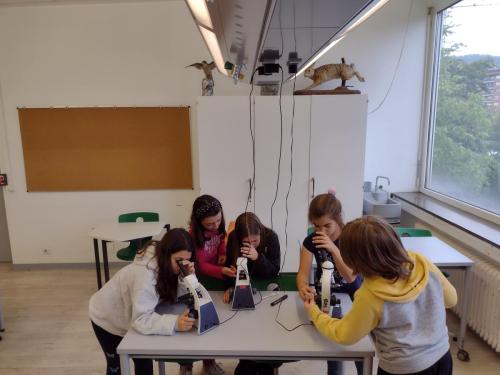 La Importancia de la Educación Ambiental / Die Bedeutung der Umwelterziehung