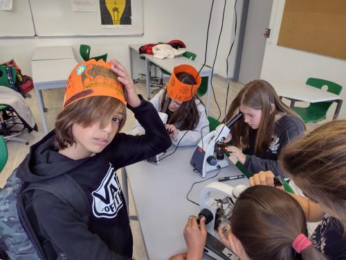 La Importancia de la Educación Ambiental / Die Bedeutung der Umwelterziehung