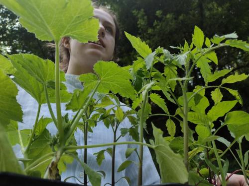 La Importancia de la Educación Ambiental / Die Bedeutung der Umwelterziehung