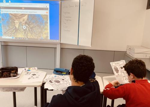 La Importancia de la Educación Ambiental / Die Bedeutung der Umwelterziehung