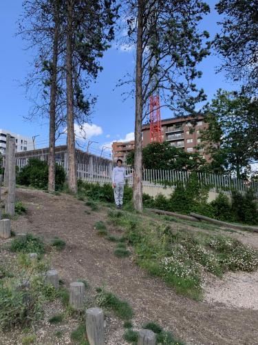 La Importancia de la Educación Ambiental / Die Bedeutung der Umwelterziehung