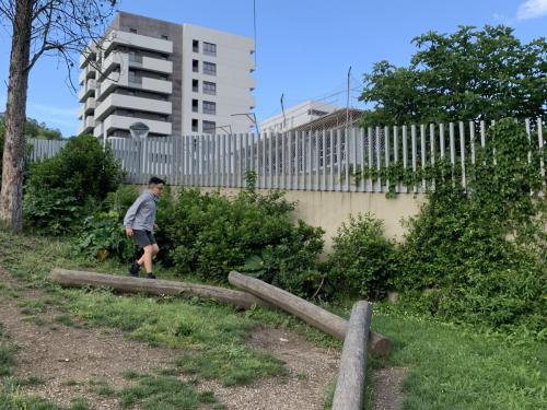 La Importancia de la Educación Ambiental / Die Bedeutung der Umwelterziehung