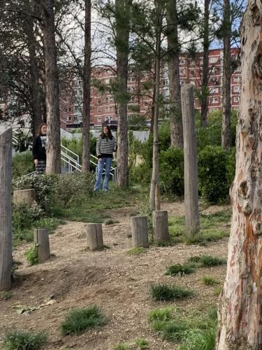 La Importancia de la Educación Ambiental / Die Bedeutung der Umwelterziehung