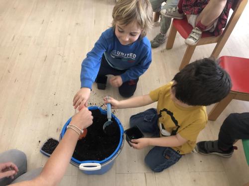 La Importancia de la Educación Ambiental / Die Bedeutung der Umwelterziehung