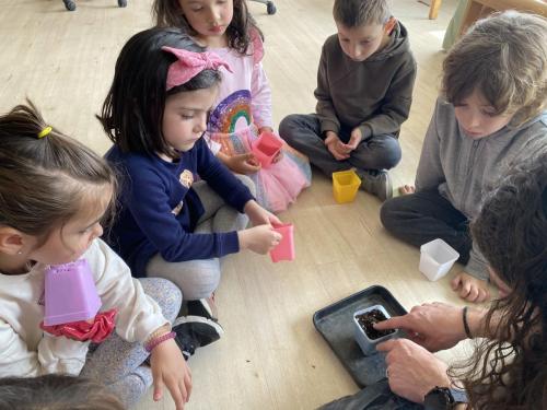 La Importancia de la Educación Ambiental / Die Bedeutung der Umwelterziehung