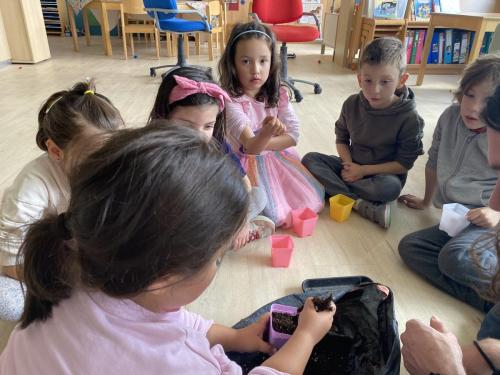 La Importancia de la Educación Ambiental / Die Bedeutung der Umwelterziehung