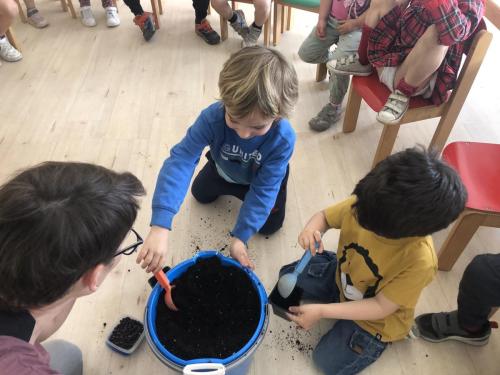 La Importancia de la Educación Ambiental / Die Bedeutung der Umwelterziehung
