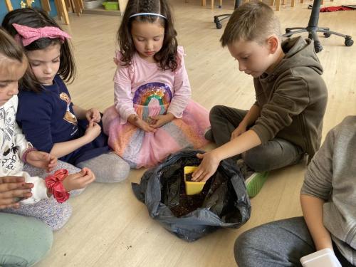La Importancia de la Educación Ambiental / Die Bedeutung der Umwelterziehung