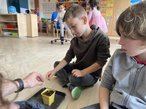 La Importancia de la Educación Ambiental / Die Bedeutung der Umwelterziehung