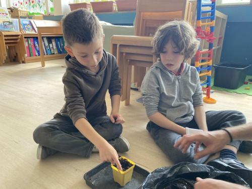 La Importancia de la Educación Ambiental / Die Bedeutung der Umwelterziehung