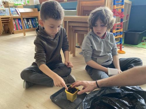 La Importancia de la Educación Ambiental / Die Bedeutung der Umwelterziehung