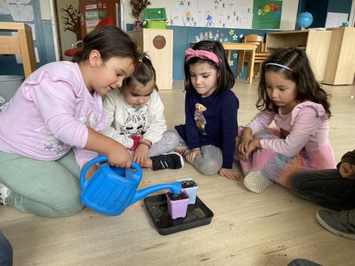 La Importancia de la Educación Ambiental / Die Bedeutung der Umwelterziehung