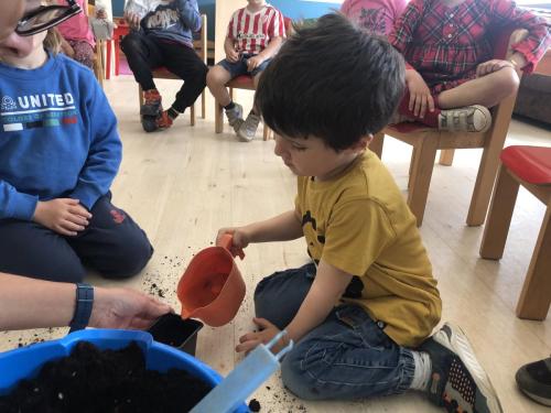 La Importancia de la Educación Ambiental / Die Bedeutung der Umwelterziehung