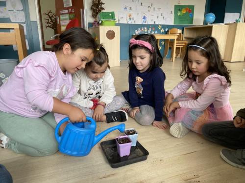 La Importancia de la Educación Ambiental / Die Bedeutung der Umwelterziehung