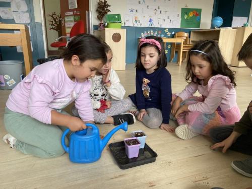 La Importancia de la Educación Ambiental / Die Bedeutung der Umwelterziehung