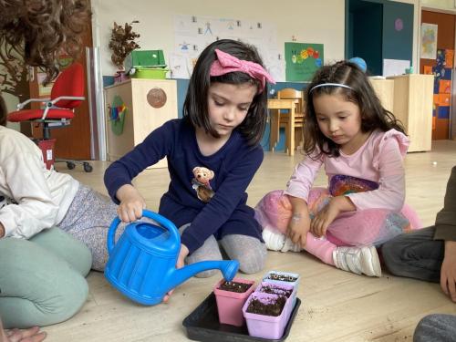 La Importancia de la Educación Ambiental / Die Bedeutung der Umwelterziehung