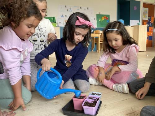 La Importancia de la Educación Ambiental / Die Bedeutung der Umwelterziehung