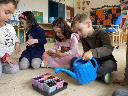 La Importancia de la Educación Ambiental / Die Bedeutung der Umwelterziehung