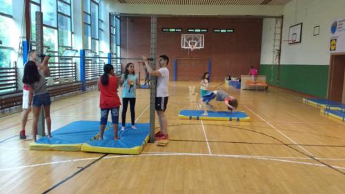 Gimnasia