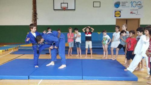 Jiu Jitsu