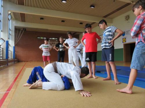 Jiu Jitsu