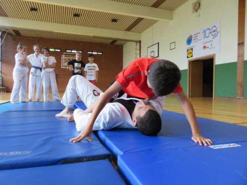 Jiu Jitsu