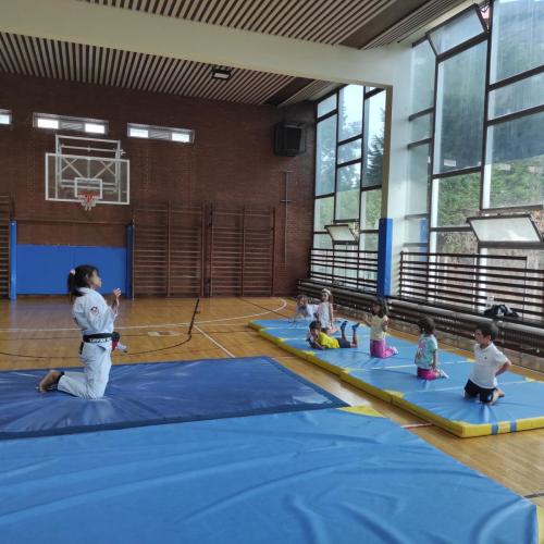 Judo