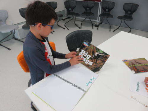 Lectura en los cursos 14 de Mayo / Leseprojekt Englisch- und Deutschkursen 14. Mai