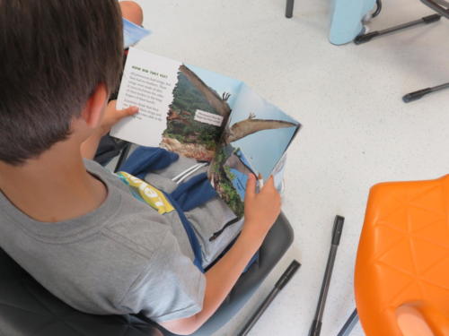 Lectura en los cursos 14 de Mayo / Leseprojekt Englisch- und Deutschkursen 14. Mai