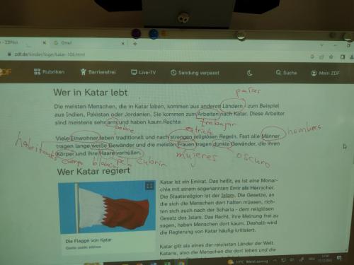 Mundial de Catar / WM in Katar