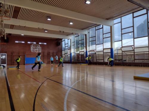Nativos Americanos Deportes