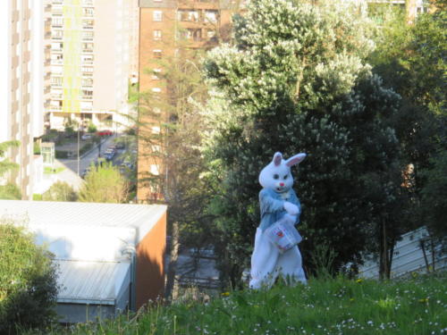 Pascua Martes / Ostern Dienstag