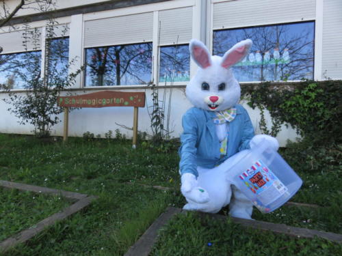 Pascua Martes / Ostern Dienstag