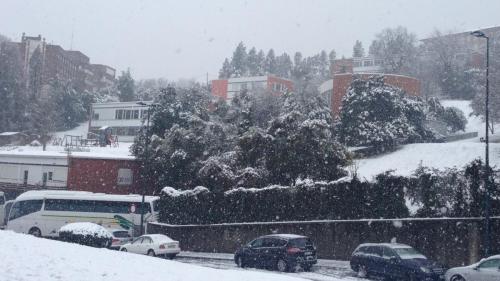 Nieve - Schnee