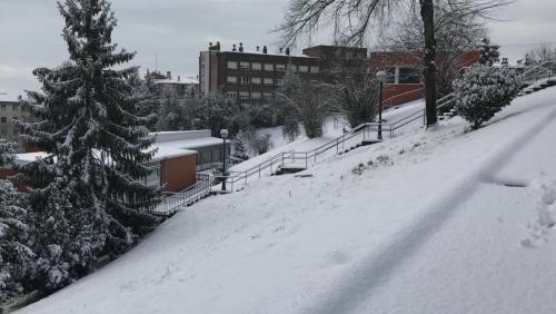 Nieve - Schnee