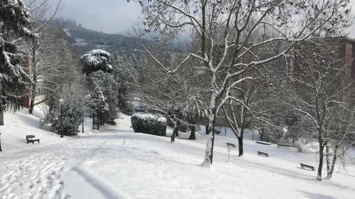 Nieve - Schnee