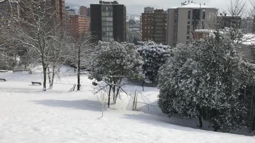 Nieve - Schnee