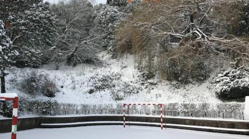 Nieve - Schnee